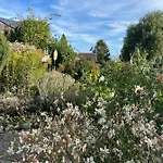 Jolie Dans Le Vaud