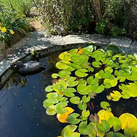 Frühstückspension Jolie Dans Le Vaud