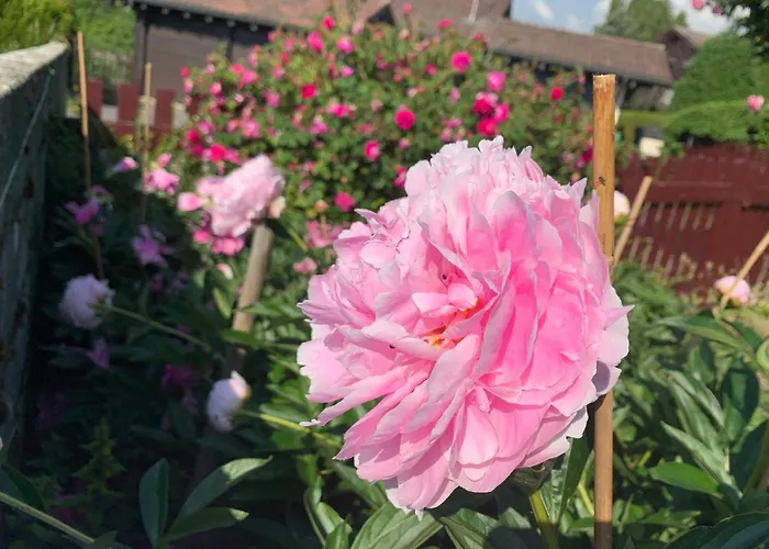 Jolie Dans Bed & Breakfast Le Vaud