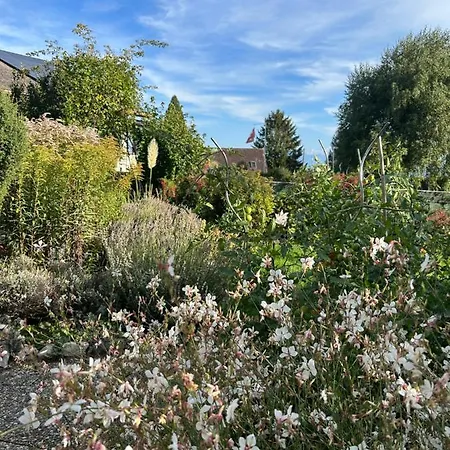 Jolie Dans Le Vaud