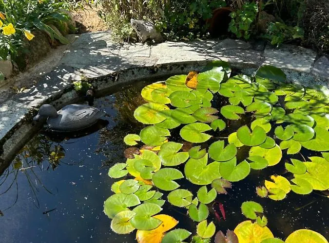 Bed & Breakfast Jolie Dans Le Vaud